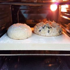 Brotbackstein 40 x 30 x 2,5 cm von Schamotte-Shop.de mit Brot-Teiglingen im Ofen