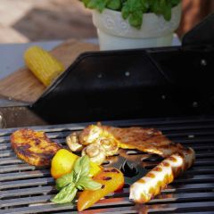 Gemischtes Grillgut auf Grillrost aus Stahl 60 x 40 cm passend für Thüros**