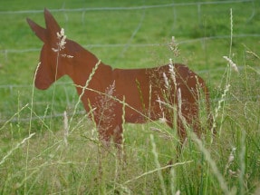 Tierpark Weeze Editon