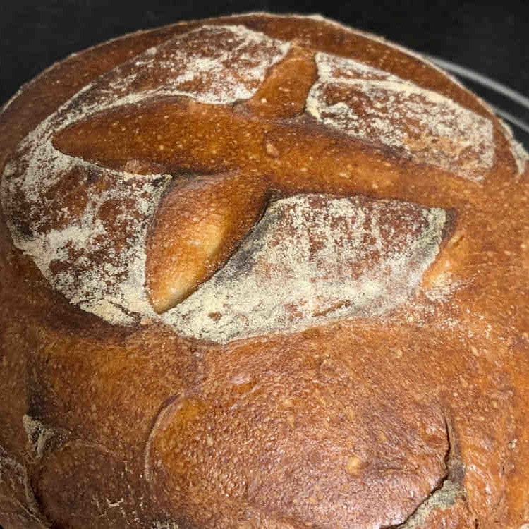 Vollkornbrot vom Brotbackstein