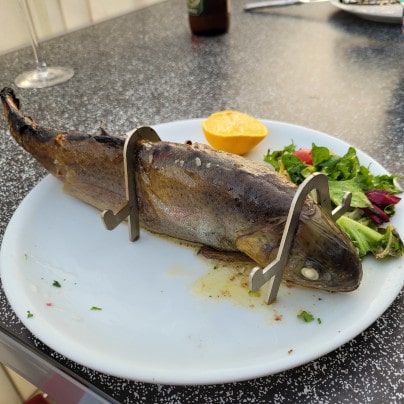 Testbericht Fischhalter aus Edelstahl für den Grill: Forelle grillen