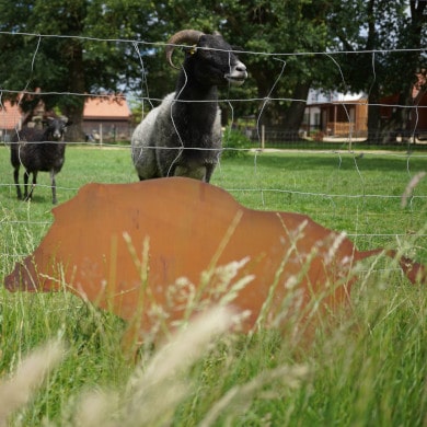 Edelrost Dekoration Tierpark Weeze: Wildschwein