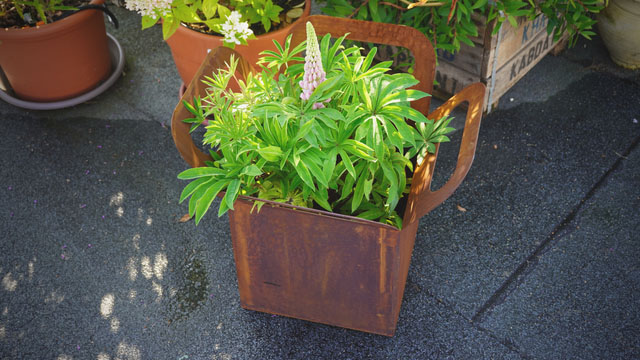 Garten & Terrasse Edelrost