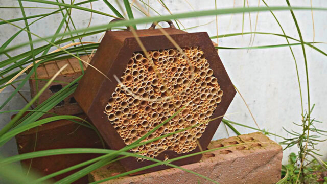 Imker- & Bienendekoration