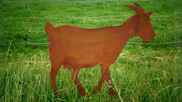 Edelrost Tiere - Tierpark Weeze Edition